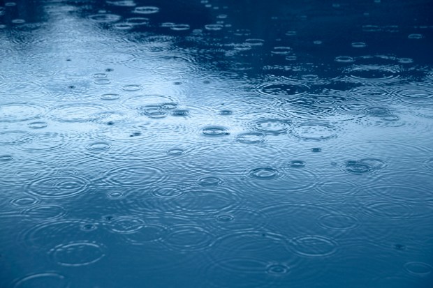 Falling Rain