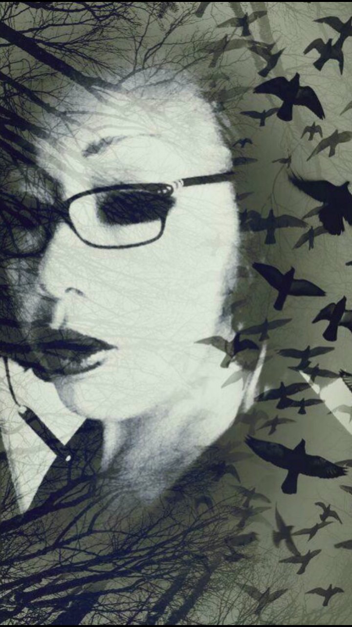 The Alchemist’s Bus&nbsp;Pass